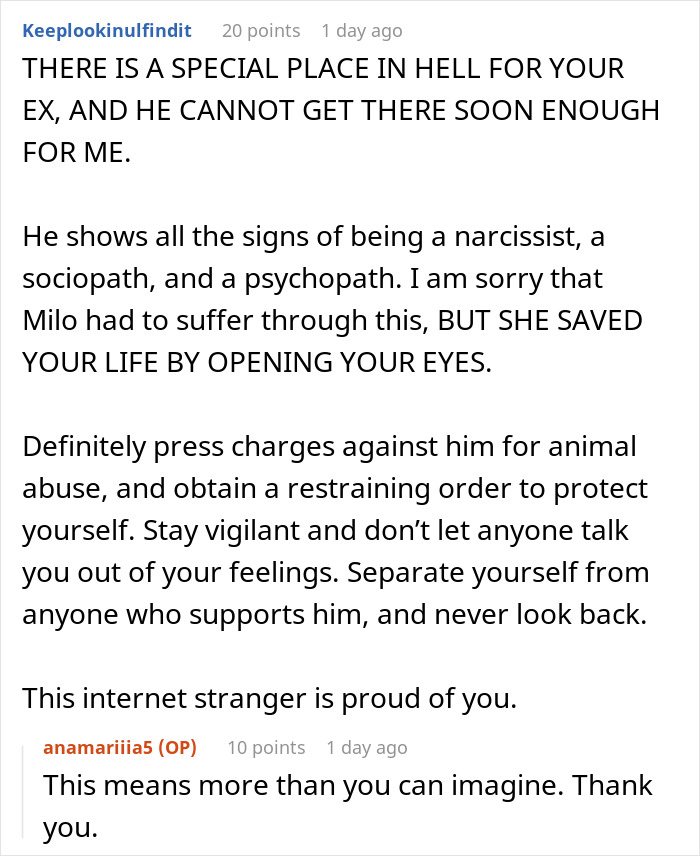 Comments discussing woman's lost dog and advice about her ex-boyfriend.