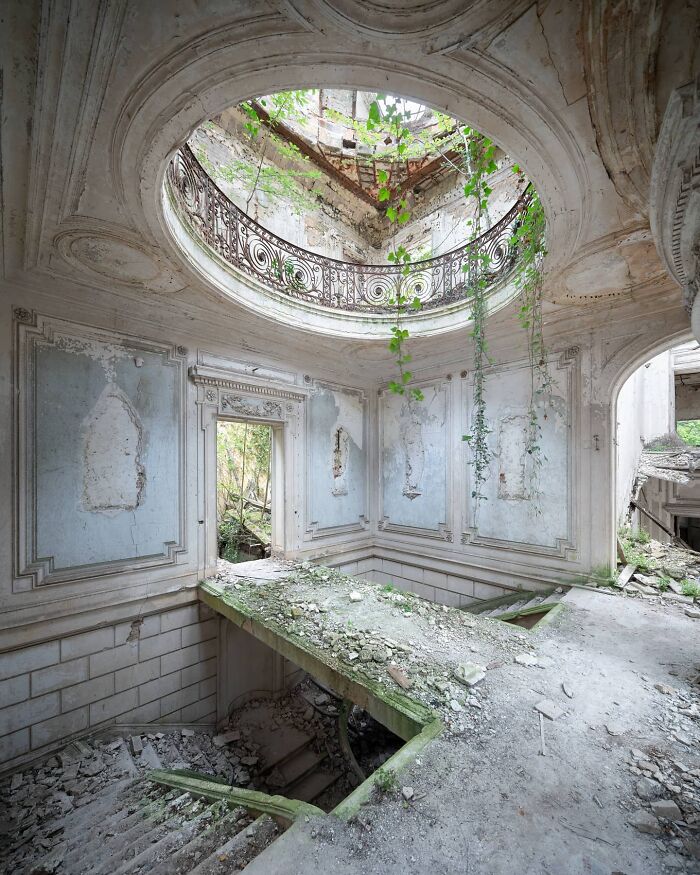 Abandoned building overtaken by nature, with vines creeping through a collapsed ceiling.