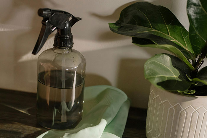 Spray bottle beside a potted plant on a wooden surface, illustrating a home-based side hustle idea.