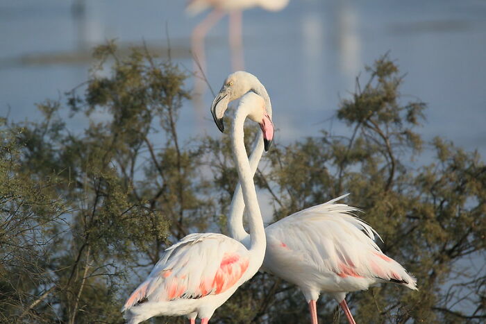 50 Cool And Interesting Facts People Learned About Animals