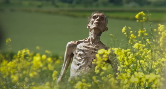Emaciated figure among yellow flowers in a field, related to the "28 Years Later" cast. Emaciated figure among yellow flowers in a field, related to the "28 Years Later" cast.