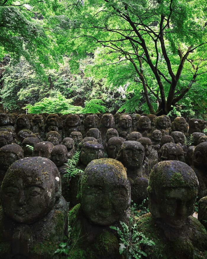 Moss-covered stone statues in a lush forest, showing nature reclaiming civilization with dense greenery.