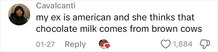 “I Give Up”: Brit Shares The Funniest And Most Cringe-Worthy Conversations With Americans “I Give Up”: Brit Shares The Funniest And Most Cringe-Worthy Conversations With Americans