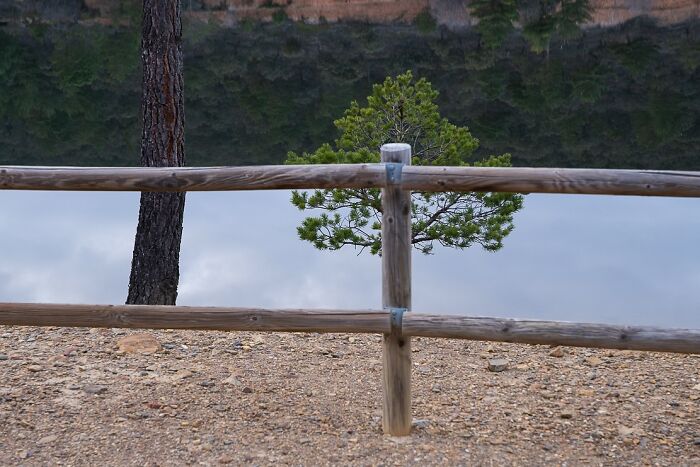 Wooden fence with tree reflection in water, creating an optical illusion. Coincidence Project photo by Denis Cherim.