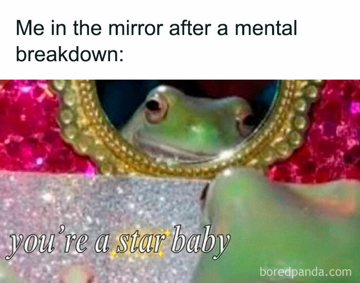 Frog in a mirror with "you're a star baby" text, illustrating a humorous mental health meme.