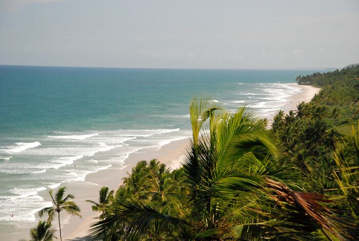 Retro Brazilian beach with lush palms, white sand, and rolling waves under a clear sky.