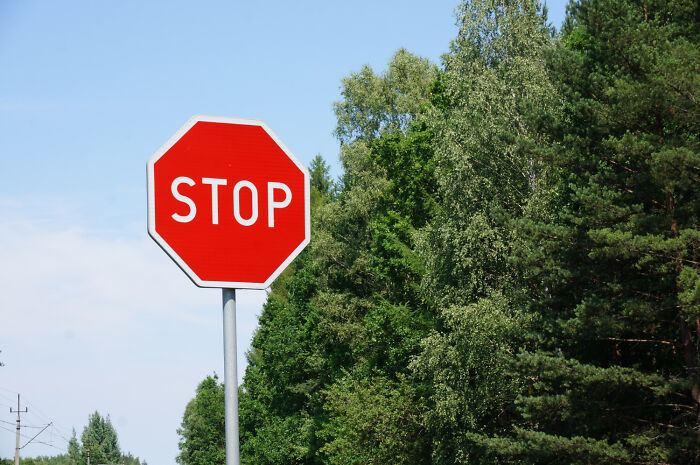 Stop sign with eight sides on a post, surrounded by green trees under a clear blue sky.