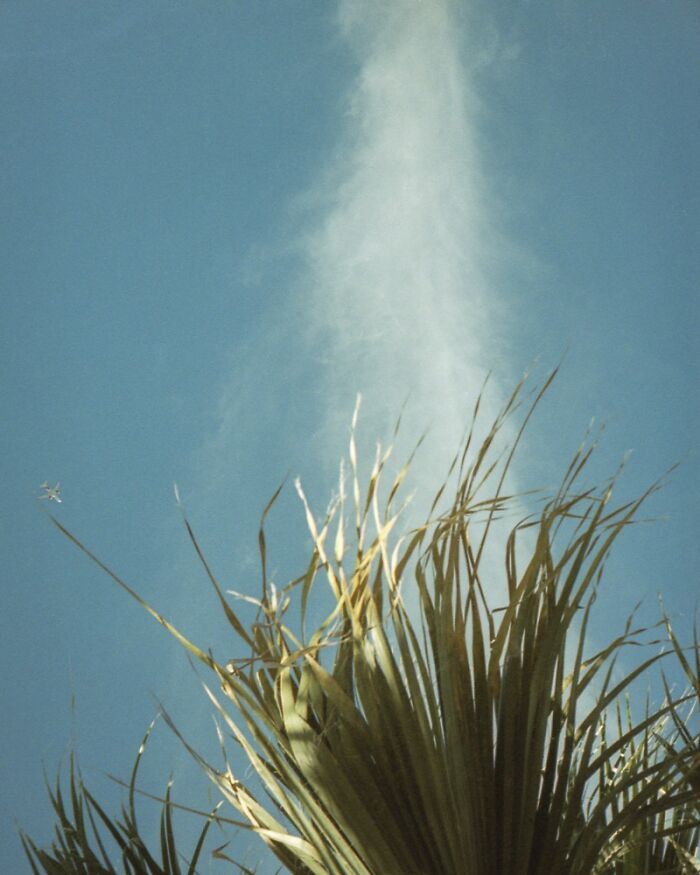 Cloud above grass resembling smoke captures a coincidence in nature, with a plane faintly seen to the left in the sky.