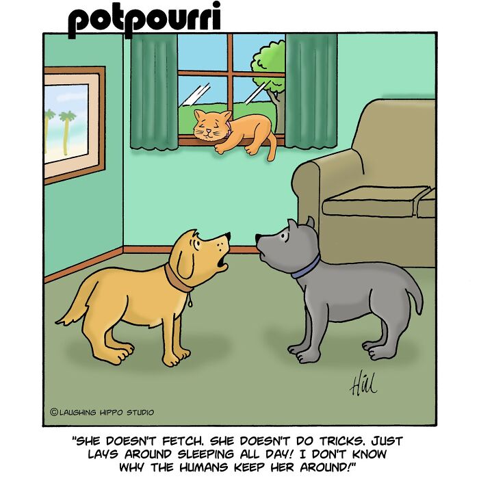 Cartoon dogs humorously discussing a lazy cat lounging by the window; comic by Laughing Hippo Studio.