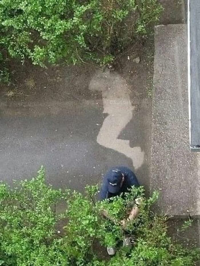 Overhead view of a person trimming bushes with a weirdly shaped wet patch on the ground.