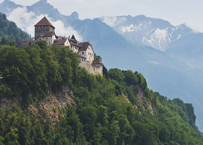 “What Is The Most Wholesome Fact You Know?” (35 Answers)