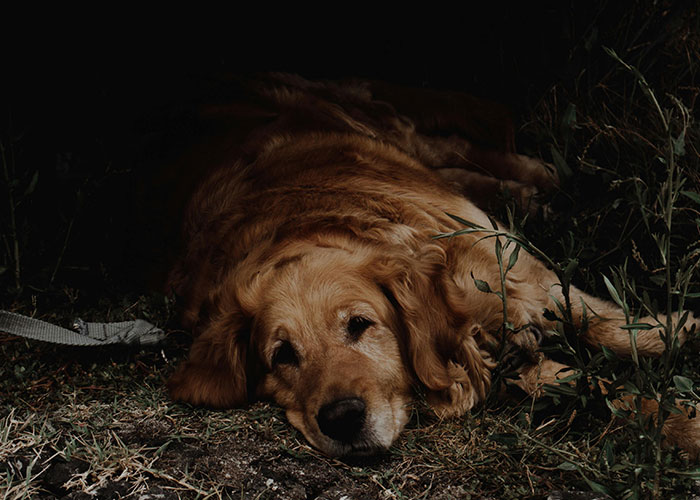 40 Times Employees Said ‘I’m Done’ And Left Work For Good