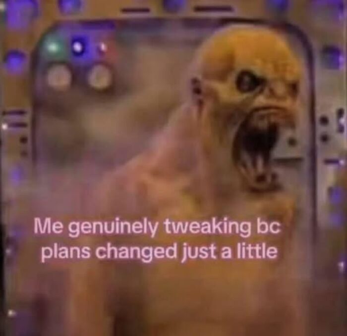 A humorous mental health meme showing a stressed creature in reaction to plans changing.