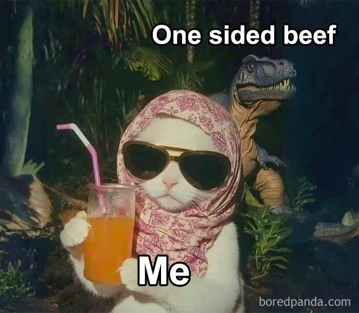 Cat in sunglasses and scarf sipping juice, with "One sided beef" text, humorously depicting mental health memes.