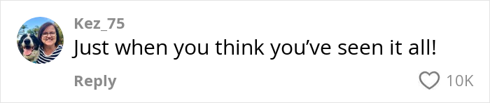 Comment by Kez_75 with text "Just when you think you&rsquo;ve seen it all!" in response to Detroit block of ice video.