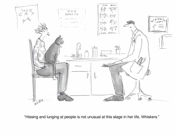 Cartoon by Julia Suits: person with a cat at the vet, discussing the cat's behavior in a humorous setting.