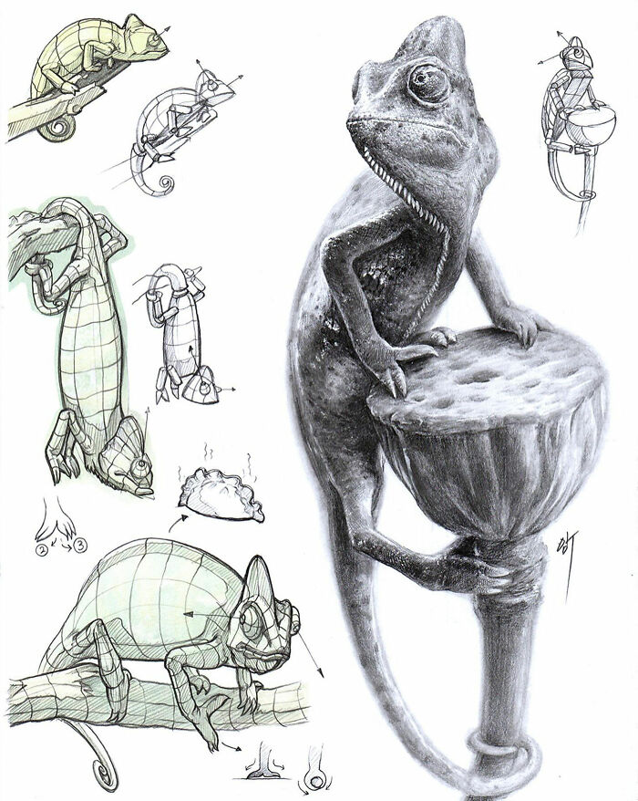 Hyper-realistic illustration of a chameleon in various poses, showcasing detailed and intricate artistry by a South Korean artist.