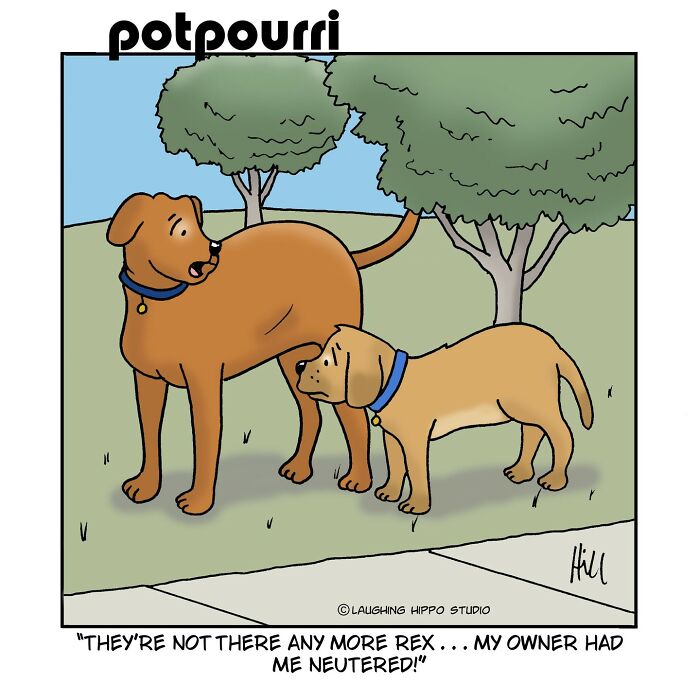 Humorous dog comic by Laughing Hippo Studio showing two dogs talking in the park.