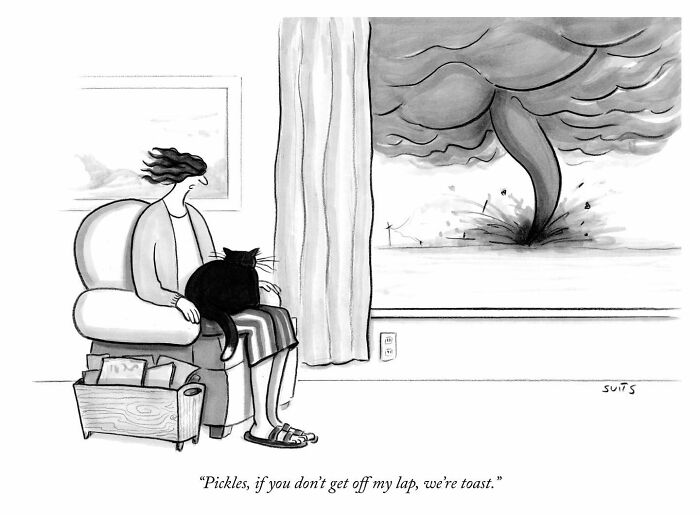 Cartoon by Julia Suits: Person with a cat on their lap, watching a tornado outside the window.