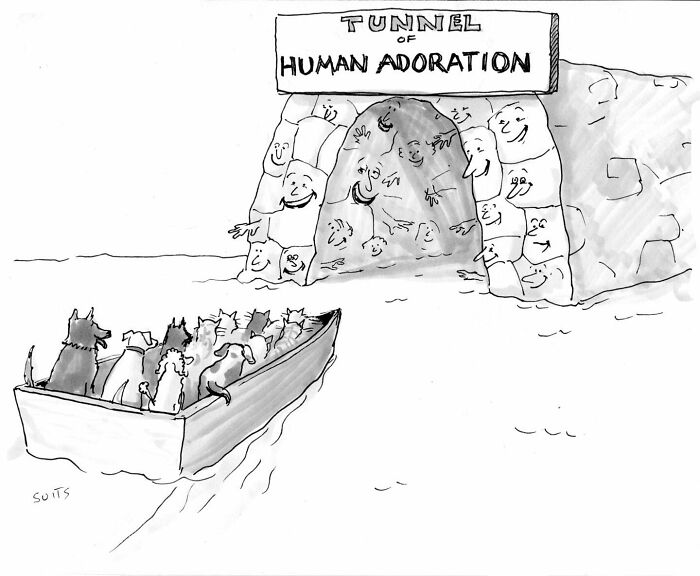 Cartoon by Julia Suits showing dogs in a boat entering a tunnel labeled "Human Adoration," with faces on the walls.