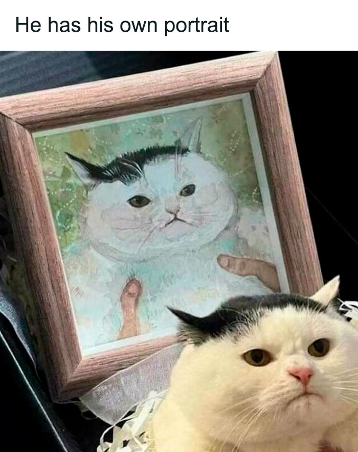 Grumpy cat with its own portrait, capturing a heartwarming meme moment.