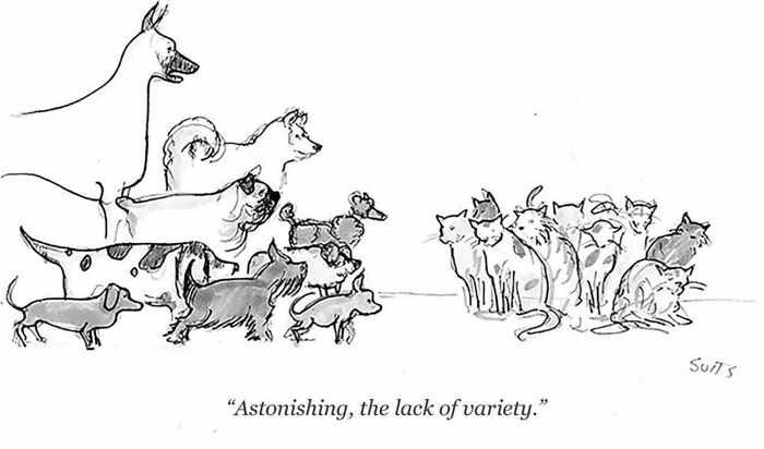 Cartoon with diverse dogs and identical cats, showcasing clever humor through everyday observation.
