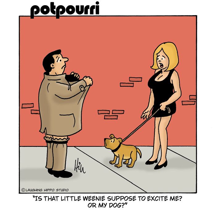 Cartoon by Laughing Hippo Studio featuring a woman with her dog in a humorous encounter on the street.