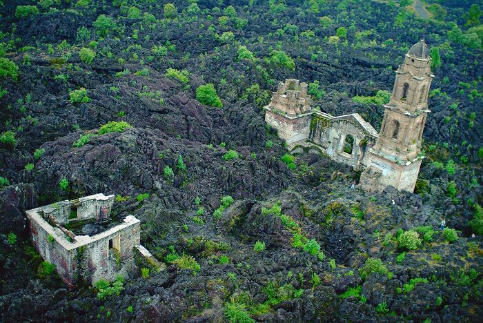 Ruins of a church being overtaken by lush greenery, showcasing nature reclaiming civilization.