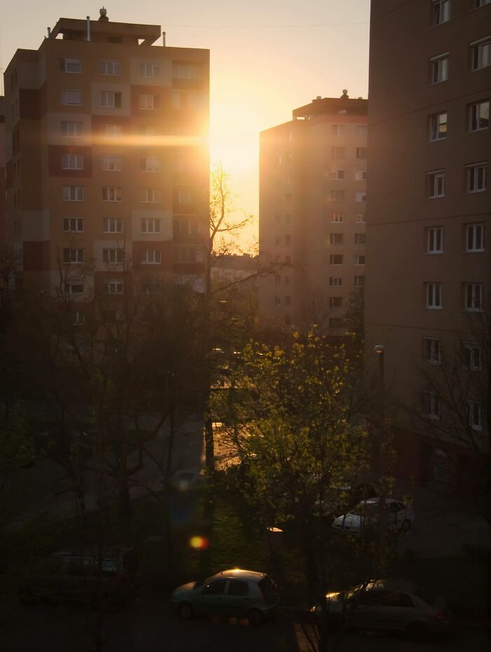 Sunset over Hungary's panel buildings with trees and parked cars in the foreground.