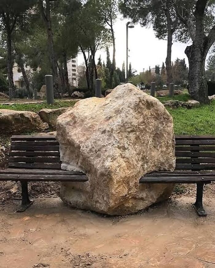 A bench divided by a large rock in a park setting, showcasing interesting cultural images at Cultureavenue.
