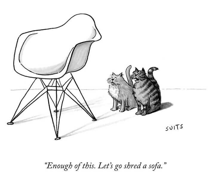 Two cats humorously deciding to shred a sofa instead of staring at a chair, by Julia Suits.