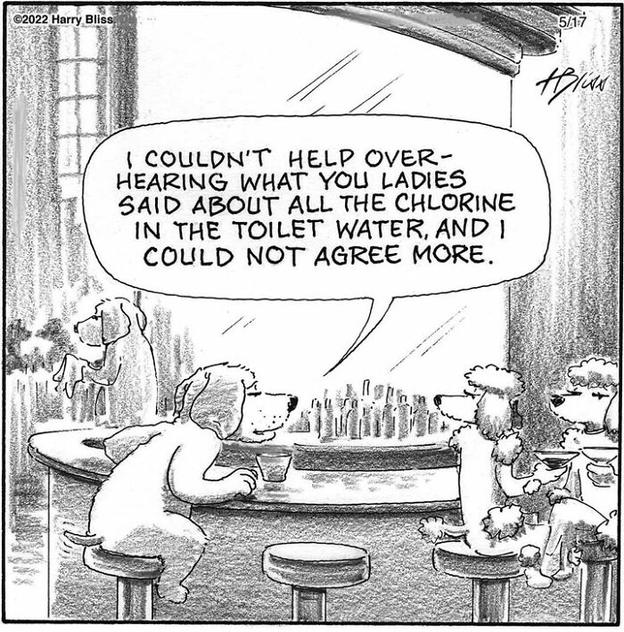 Dogs at a bar humorously discuss toilet water chlorine; comic by Harry Bliss.