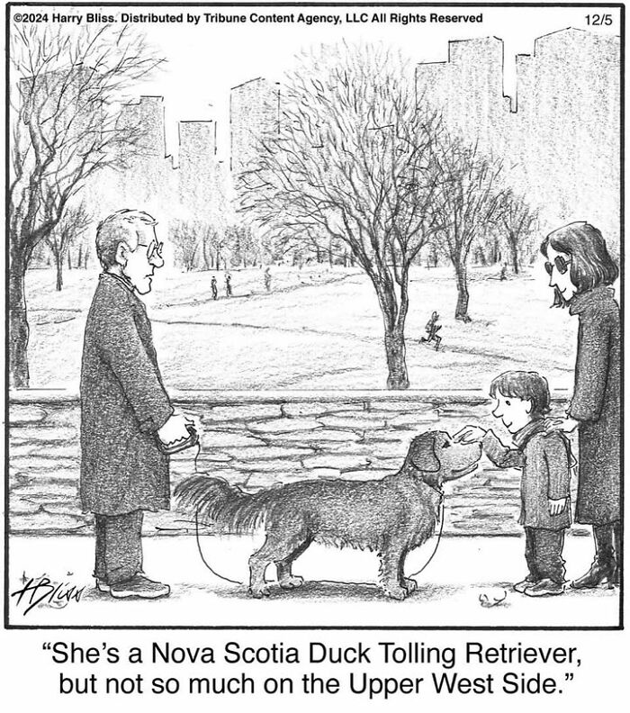One-panel comic by Harry Bliss depicting people and a dog in a park with a humorous caption.