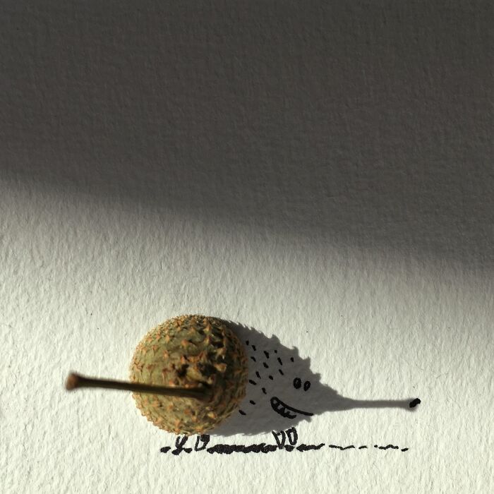 Everyday object shadow transformed into a hedgehog illustration, using a spiky nut and drawn details for creativity.