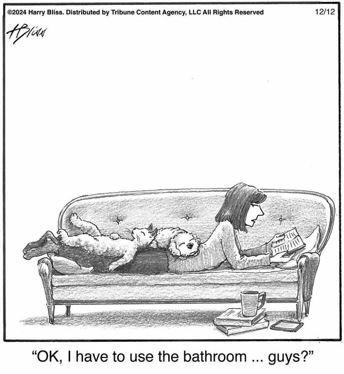 A humorous one-panel comic by Harry Bliss featuring a woman reading on a couch with dogs, pondering bathroom use.