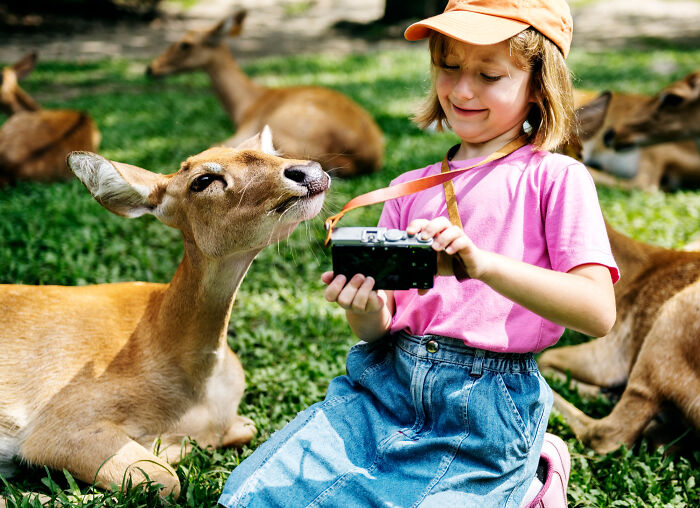 Child with a camera and deer, capturing a memorable gift idea for someone who has everything.
