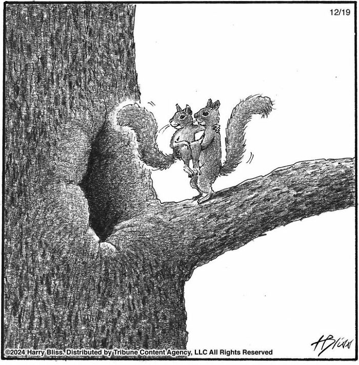Squirrels hugging on a tree branch, part of a one-panel comic by Harry Bliss.