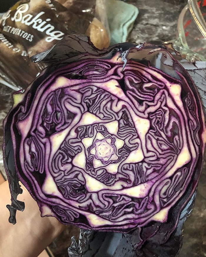 Cross-section of a purple cabbage, showcasing intricate patterns, highlighting interesting images for Cultureavenue.