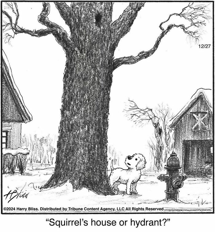 Dog deciding between tree and hydrant in a one-panel comic by Harry Bliss.