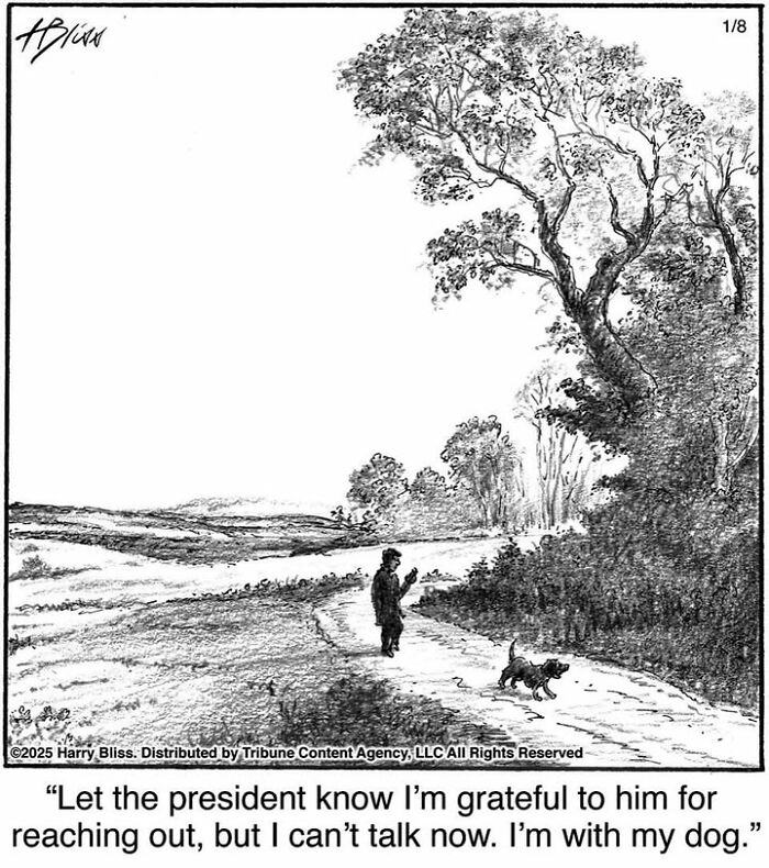 A one-panel comic by Harry Bliss shows a person walking a dog through a scenic landscape.
