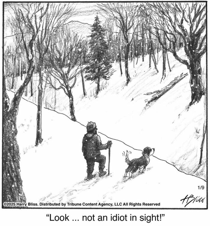 Man walking with dog in snowy forest, humorously noting the absence of people. Comic by Harry Bliss.