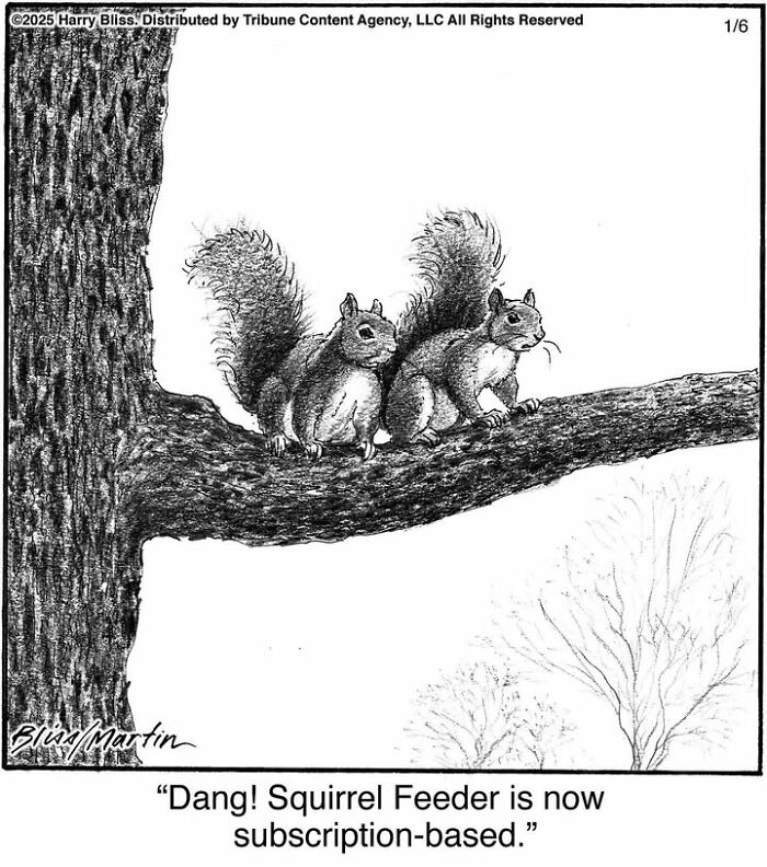 Two squirrels on a tree branch discussing a subscription-based squirrel feeder in a one-panel Harry Bliss comic.