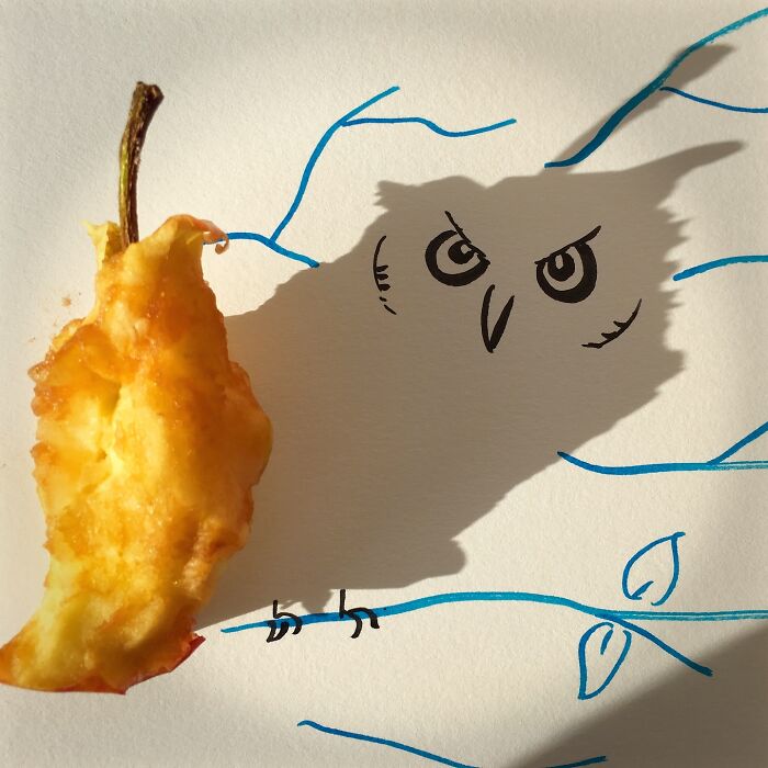 Shadow of an apple core transformed into an owl illustration on paper.