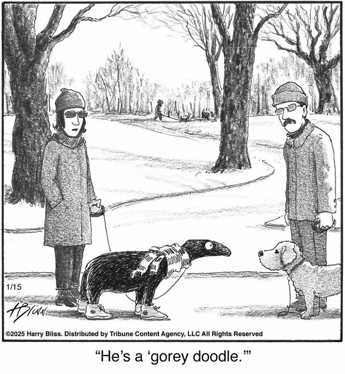 Two people in a park, conversing while walking their dogs, illustrated in Harry Bliss comic.
