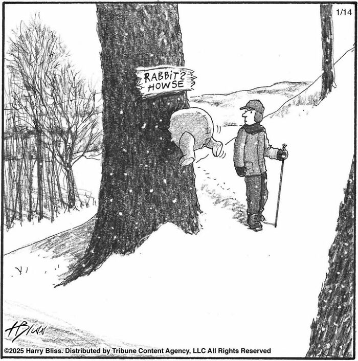 Man trekking in snow, puzzled by a large animal stuck in a tree with a "Rabbit Howse" sign. Comic by Harry Bliss.