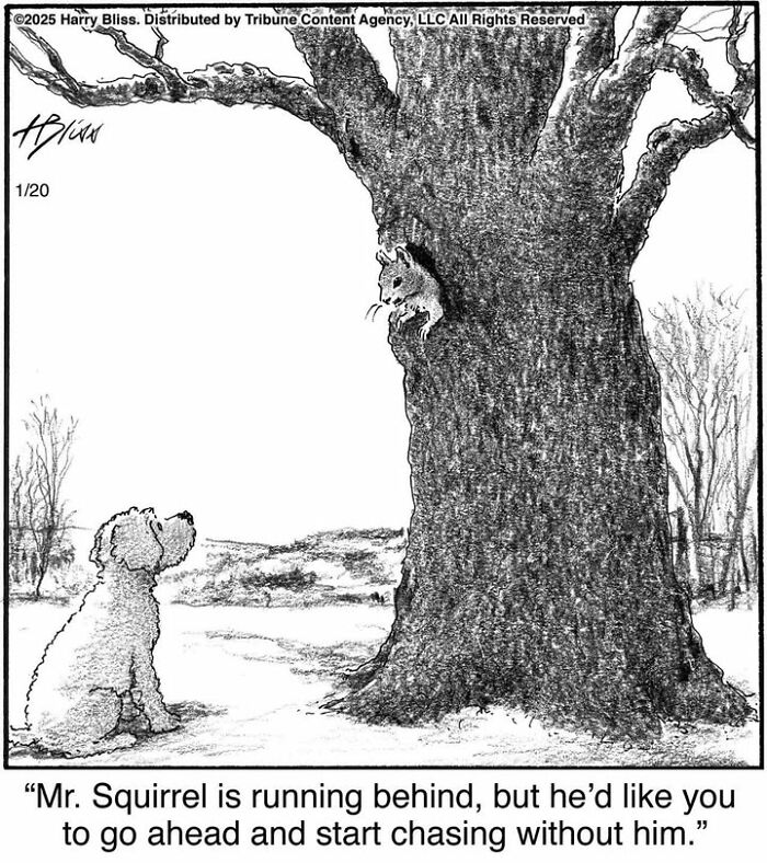 Dog watching a squirrel on a tree in a one-panel comic by Harry Bliss.