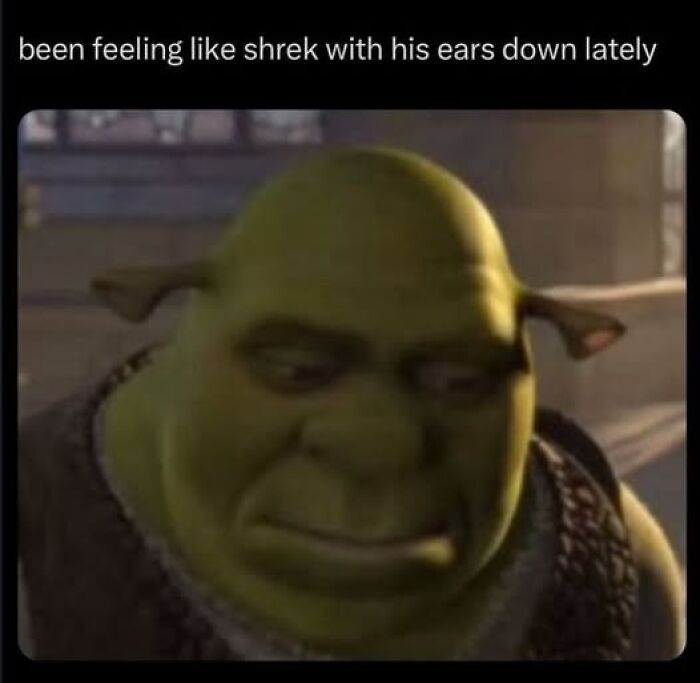 Shrek with a sad expression, ears drooping, capturing funny-silly meme humor.