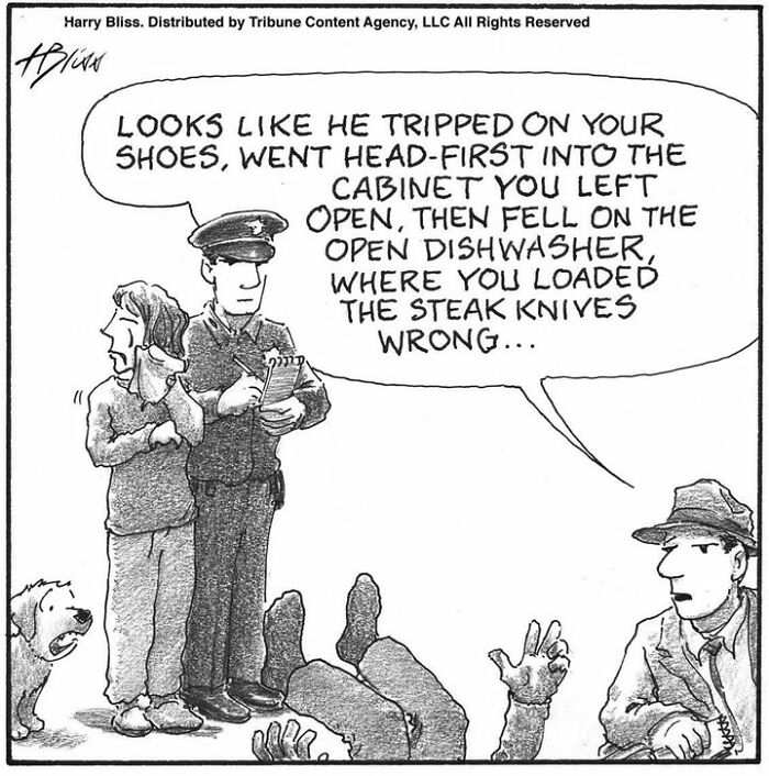 Comic by Harry Bliss shows a police officer explaining an accident scene to a couple with a dog.