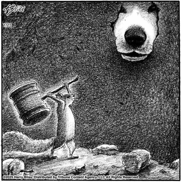 Squirrel with a hammer confronts dog nose in Harry Bliss one-panel comic.
