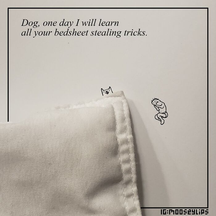 Mooseylips comic with a dog peeking from under a bedsheet, featuring humorous text about learning bedsheet stealing tricks.